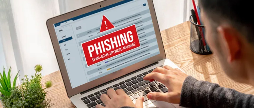Phishing and Identity Fraud Case Study