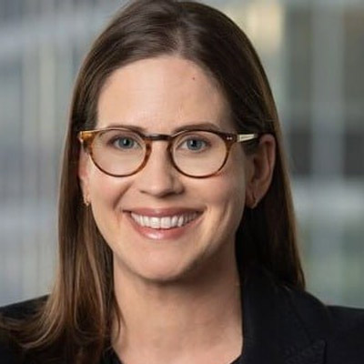 Fraud Case Advisor