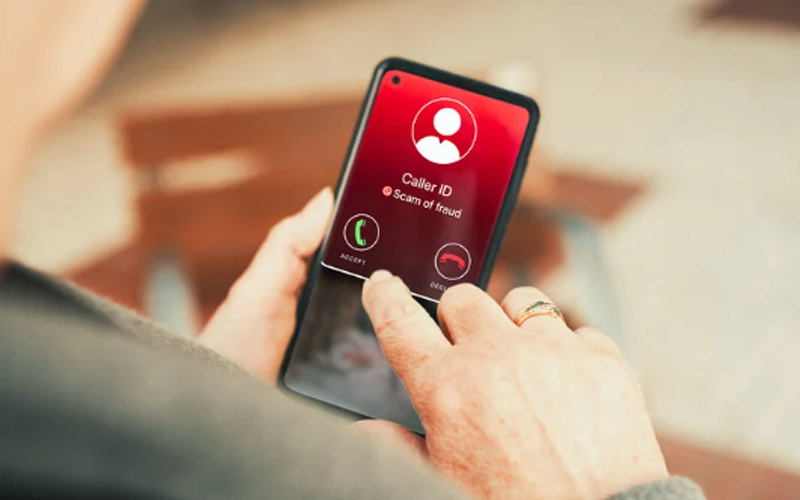 Client Online Fraud Case Support Experience